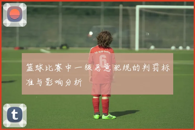 篮球比赛中一级恶意犯规的判罚标准与影响分析