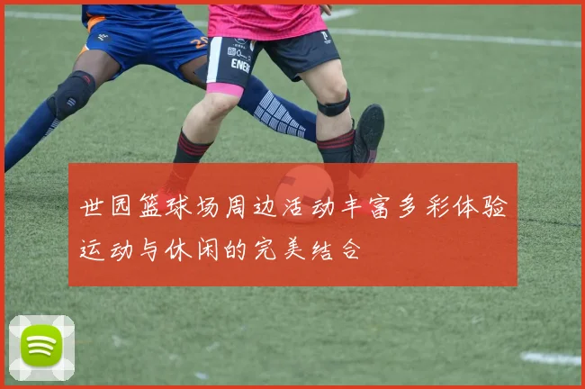 世园篮球场周边活动丰富多彩体验运动与休闲的完美结合