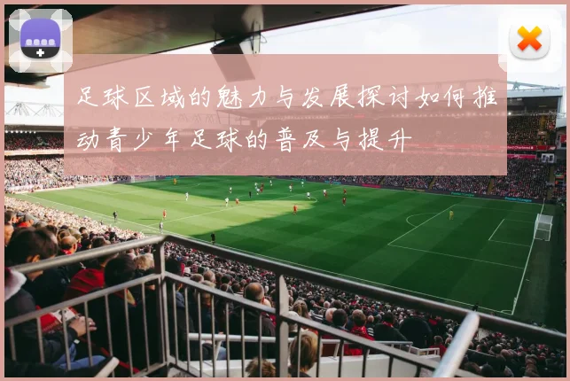 足球区域的魅力与发展探讨如何推动青少年足球的普及与提升