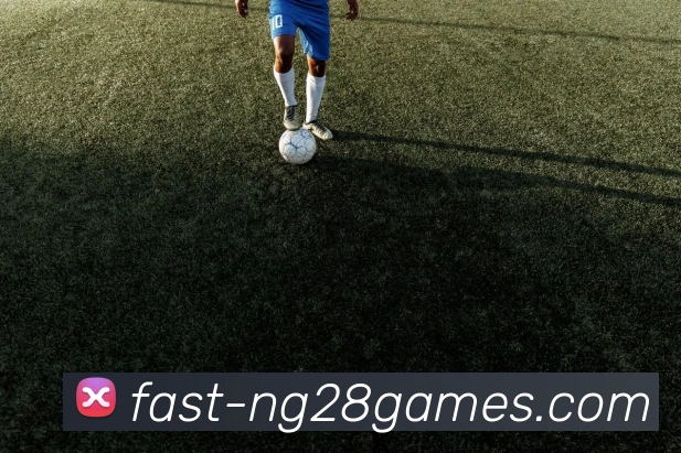 南宫28集团平台生态图